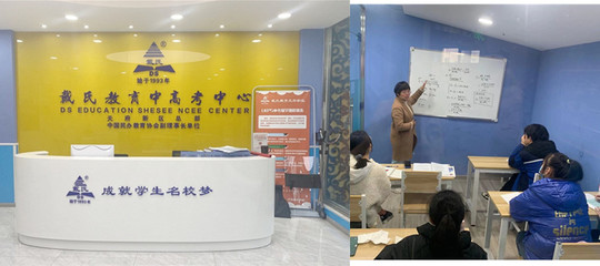 成都十大民辦文化課輔導(dǎo)機構(gòu)綜合盤點與特色解析